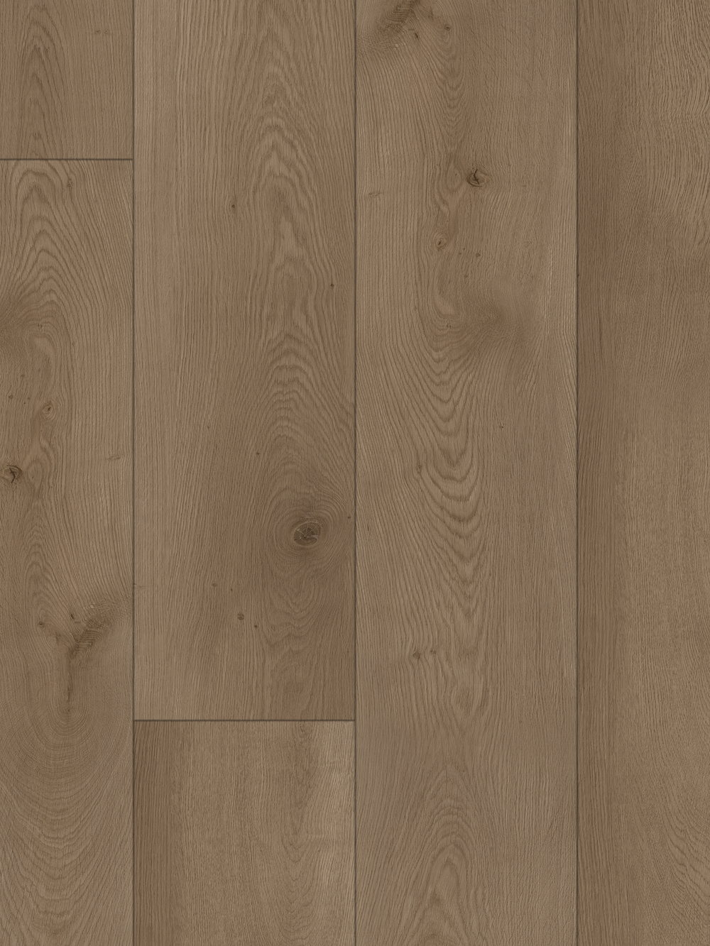 Comporta floor